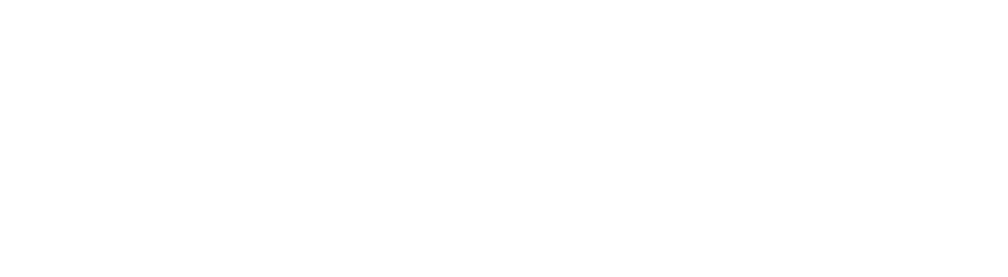 netapp-logo-white